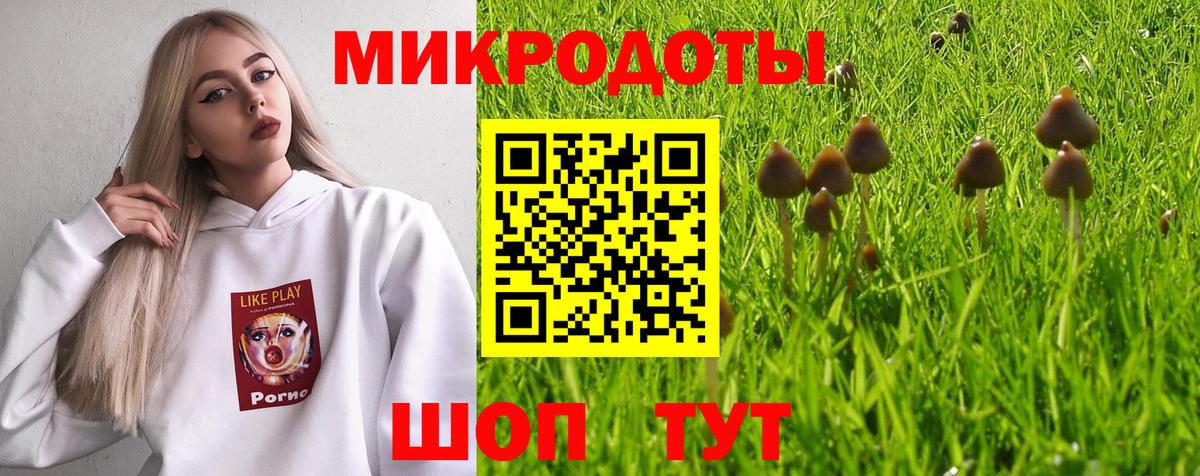 Галлюциногенные грибы MAGIC MUSHROOMS Камышлов
